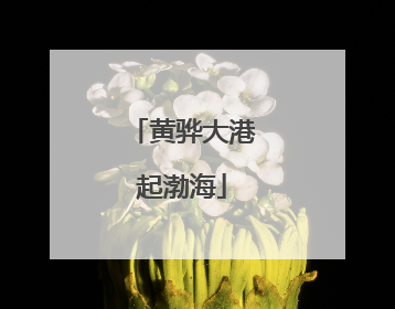 黄骅大港起渤海