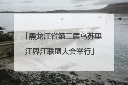 黑龙江省第二届乌苏里江界江联盟大会举行