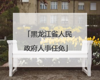 黑龙江省人民政府人事任免