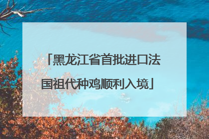 黑龙江省首批进口法国祖代种鸡顺利入境