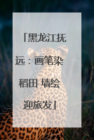 黑龙江抚远：画笔染稻田 墙绘迎旅发