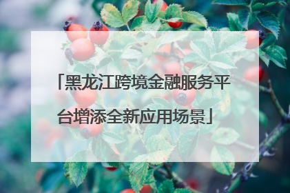 黑龙江跨境金融服务平台增添全新应用场景
