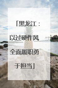 黑龙江：以过硬作风全面履职勇于担当