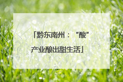 黔东南州：“酸”产业酿出甜生活