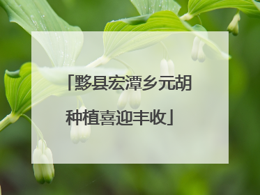 黟县宏潭乡元胡种植喜迎丰收