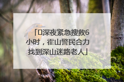 ﻿深夜紧急搜救6小时，霍山警民合力找到深山迷路老人