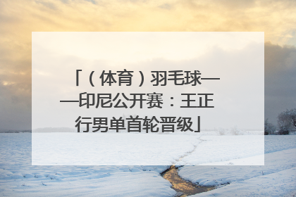 （体育）羽毛球——印尼公开赛：王正行男单首轮晋级
