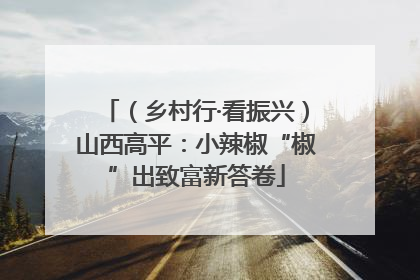 （乡村行·看振兴）山西高平：小辣椒“椒”出致富新答卷