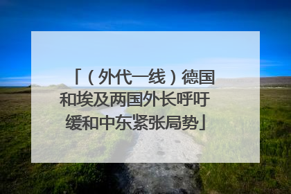 （外代一线）德国和埃及两国外长呼吁缓和中东紧张局势