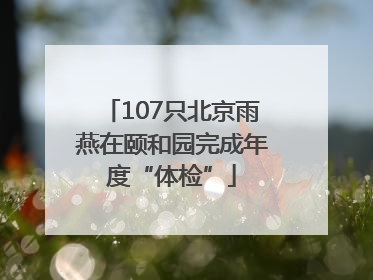 107只北京雨燕在颐和园完成年度“体检”