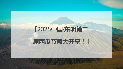 2025中国·东明第二十届西瓜节盛大开幕！