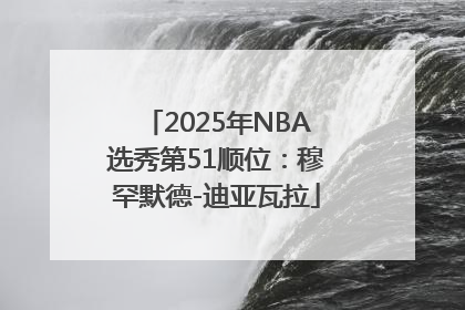 2025年NBA选秀第51顺位：穆罕默德-迪亚瓦拉