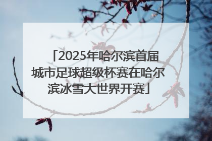 2025年哈尔滨首届城市足球超级杯赛在哈尔滨冰雪大世界开赛