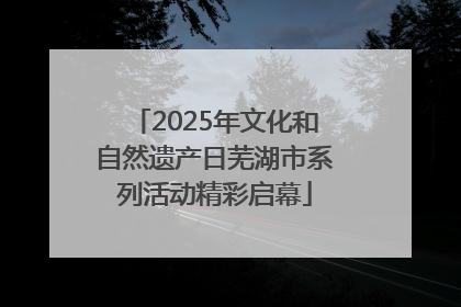 2025年文化和自然遗产日芜湖市系列活动精彩启幕