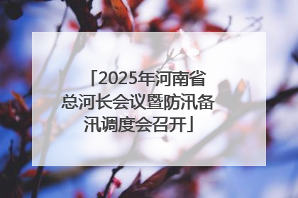 2025年河南省总河长会议暨防汛备汛调度会召开