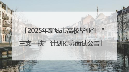 2025年聊城市高校毕业生“三支一扶”计划招募面试公告