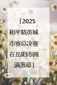 2025和平精英城市赛总决赛在岳阳市圆满落幕