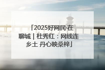 2025好网民·在聊城｜杜秀红：网线连乡土 丹心映桑梓
