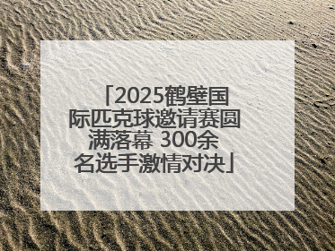 2025鹤壁国际匹克球邀请赛圆满落幕 300余名选手激情对决