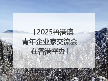 2025鲁港澳青年企业家交流会在香港举办