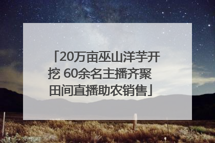 20万亩巫山洋芋开挖 60余名主播齐聚田间直播助农销售