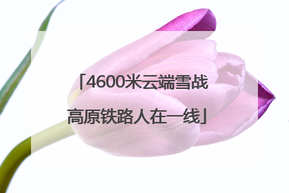 4600米云端雪战 高原铁路人在一线