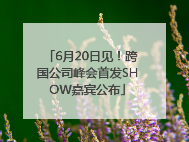 6月20日见！跨国公司峰会首发SHOW嘉宾公布