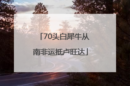 70头白犀牛从南非运抵卢旺达