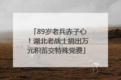 89岁老兵赤子心！湖北老战士捐出万元积蓄交特殊党费