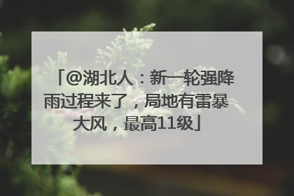 @湖北人：新一轮强降雨过程来了，局地有雷暴大风，最高11级