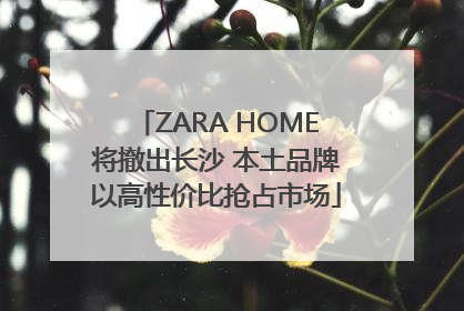 ZARA HOME将撤出长沙 本土品牌以高性价比抢占市场